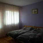 Villaneila Neila