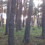 Villaneila 2*