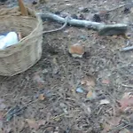 Villaneila فندق Neila