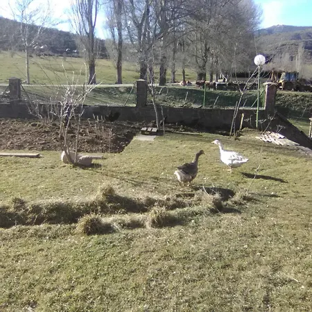 Hotel Villaneila Neila