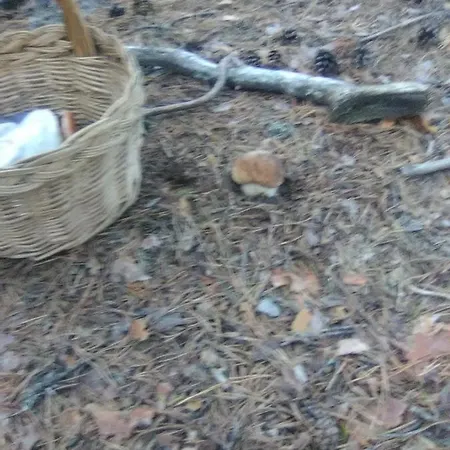 Villaneila Hotel Neila