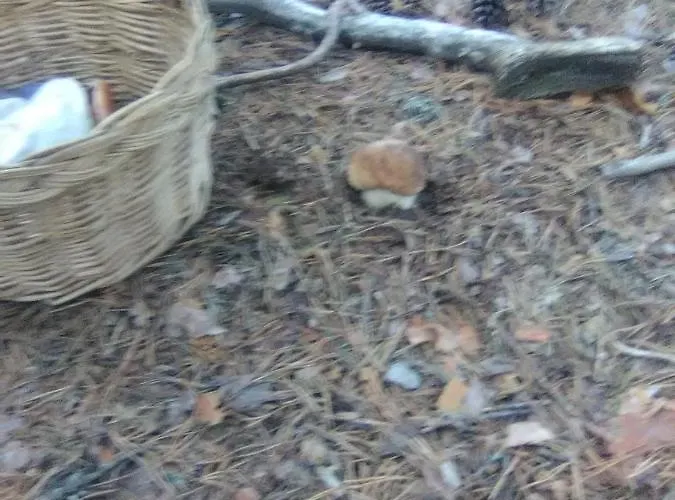 Villaneila Hotel Neila