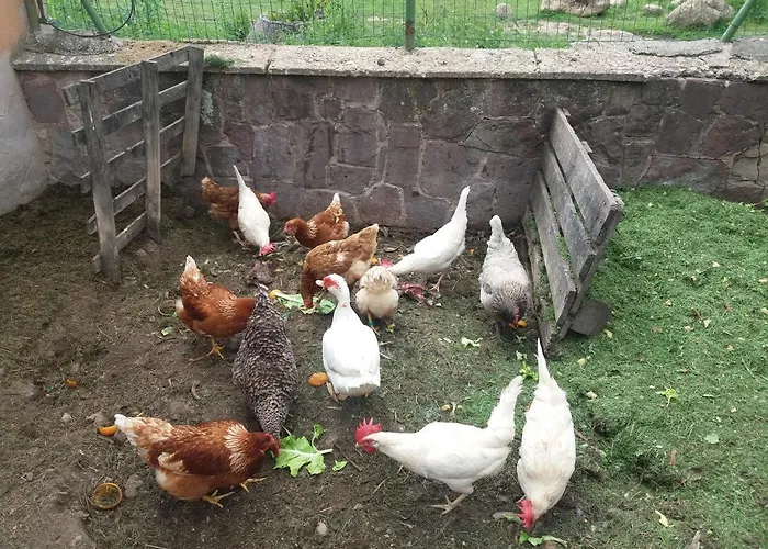 Hotell Villaneila 2*